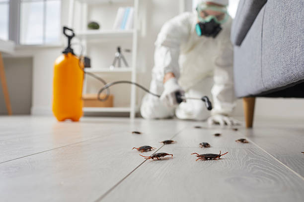 Commercial Kitchen Cockroach Control in Hartshorne